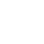 icon_network_white.png